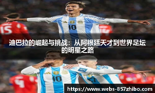 857体育直播间